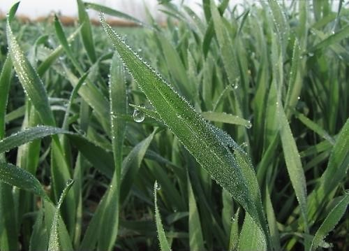 配这场春雨真好u=3514196716,(238473)-20210315081126.jpg