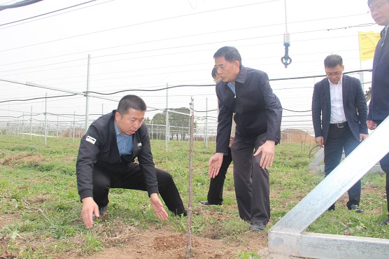 3月30日，人资环委围绕“我省黄河流域水资源节约集约利用”专题在杨凌高科农业体验园调研农业节水.JPG