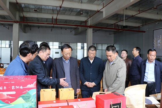 7.范九伦率队在安康市紫阳县开展脱贫攻坚(622465)-20220622084407.JPG