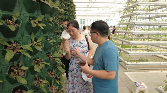 学员们在安康农业示范园参观学习(989099)-20230919090739.jpg