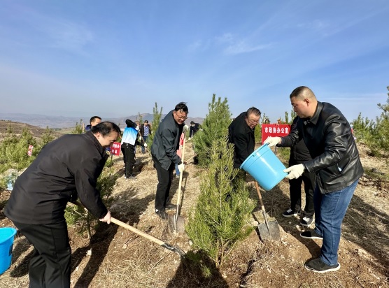 宝鸡市政协组织机关干部参加义务植树活动(1133401)-20240314093852.jpg