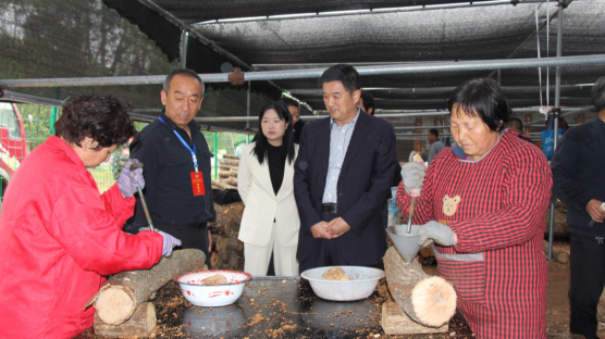 1714353136124090.png (图片新闻)城固县政协调研林下经济发展情(1175863)-20240429091132.png