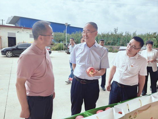 （图片新闻）延安市政协调研冷链物流发展情(1292450)-20240910084324.jpg