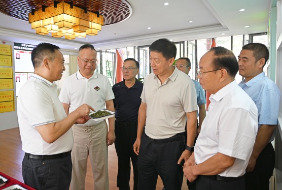 11委员们了解爱心茶园建设运营情况_记者(1304313)-20240923090112.jpg