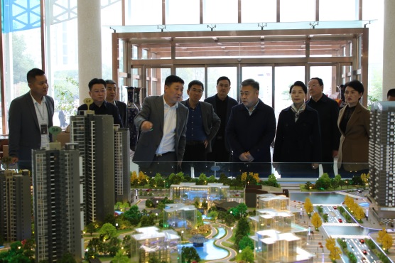 汉中市政协走访委员企业调研房地产市场发展(1344418)-20241106091158.JPG