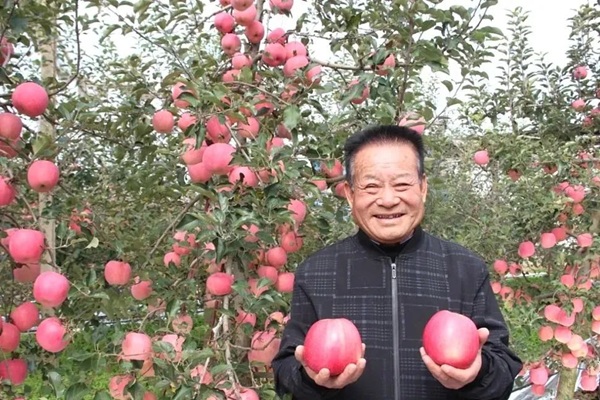 曹儒(1392672)-20241226090331.jpg