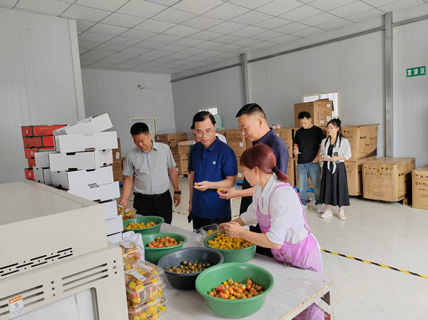 （图片新闻）宁强县政协调研农业产业发展情(1630886)-20250714073044.png