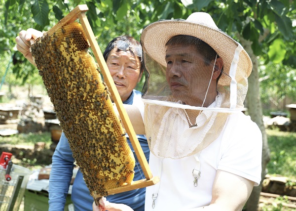 张冯斌（右）帮助冯浪民（左）察看蜂箱状况(1630916)-20250714073052.jpg
