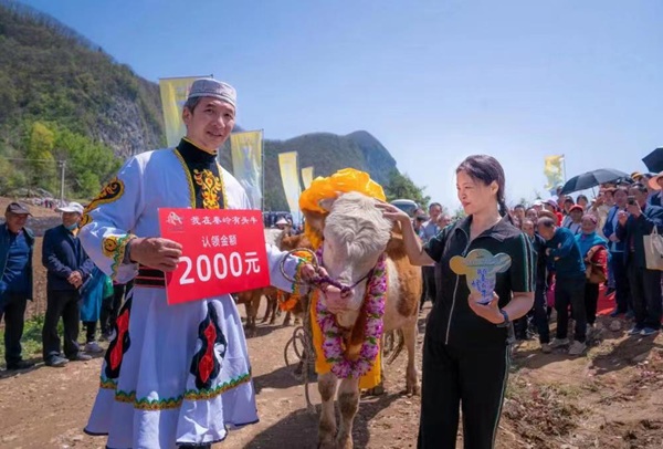 倒头条图(1726155)-20251009082224.jpg