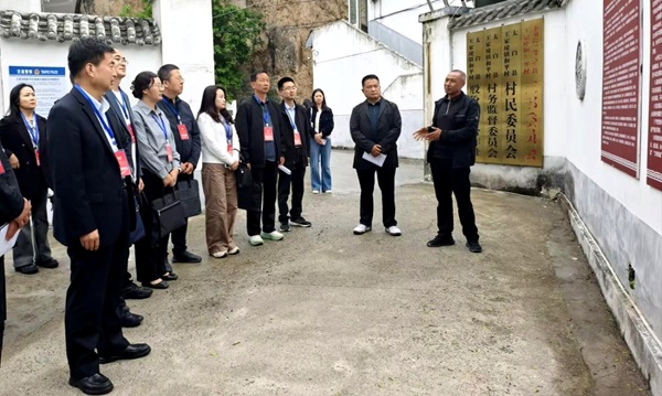 太白县政协专题视察全县乡风文明建设情况(1986613)-20260518085039.jpeg