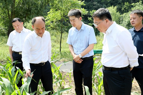 铜川市政协调研乡村产业发展和群众增收工作.jpg